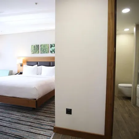 Hilton Garden Gimat 앙카라