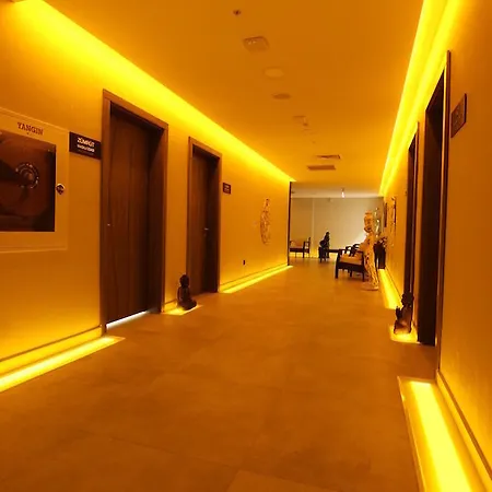 酒店 安卡拉吉玛特希尔顿花园酒店 5*