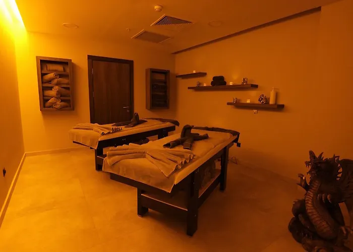 Hotel Hilton Garden Gimat Ankara